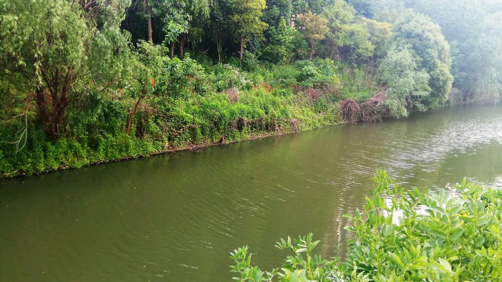 河道水体污染修复
