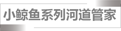 小鲸鱼系列河道管家.png